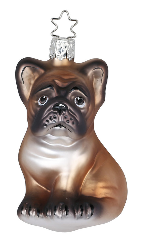 Französische Bulldogge, 9,5 cm